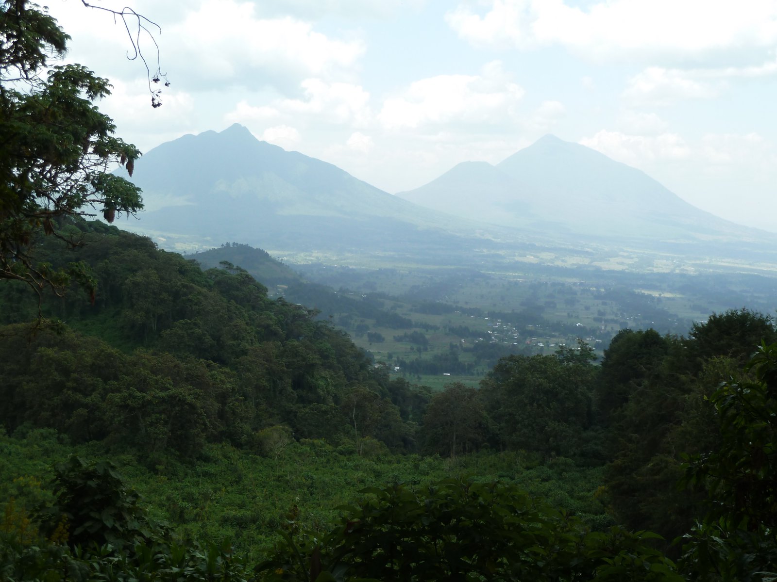 Panorama in Rwanda