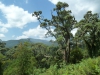 Weg zum Visokekrater -Rwanda