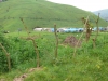 Flüchtlingslager in Masisi